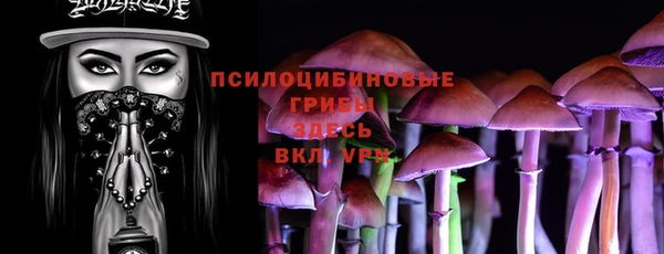 гидра Абаза