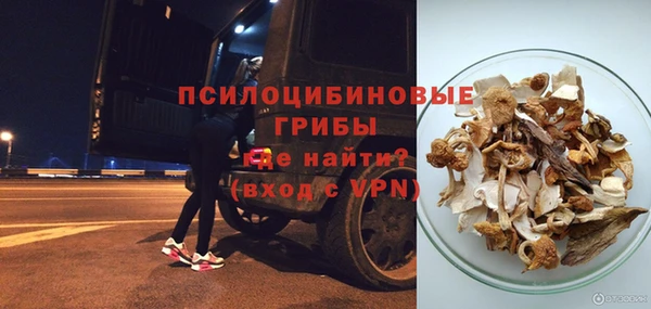 ГАЛЛЮЦИНОГЕННЫЕ ГРИБЫ Абинск